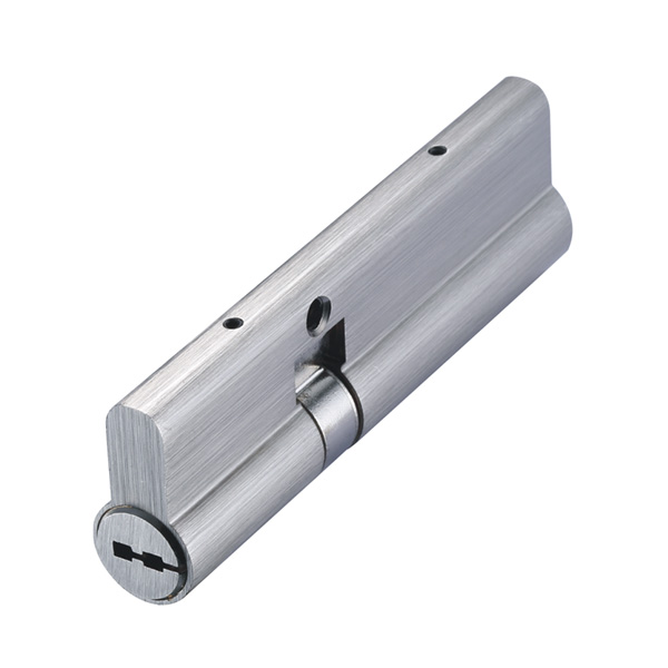HD-T1-100P1-AB Cо