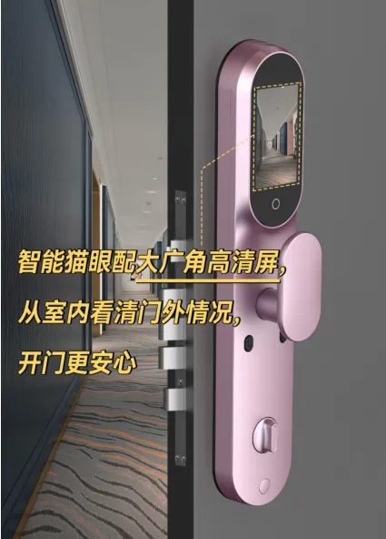 һĿķչʷ